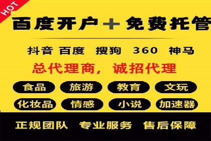 某电商平台的SEM推广策略及效果分析